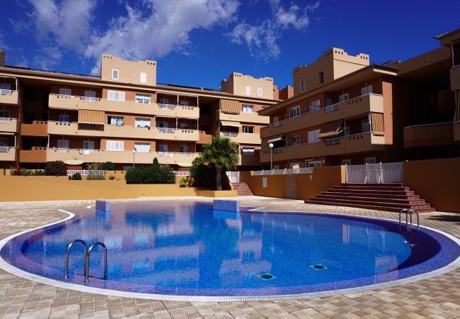 Apartment in Puertito de Güímar - Puertito SeaSide Apartment in Puertito de Güímar - Puertito SeaSide
