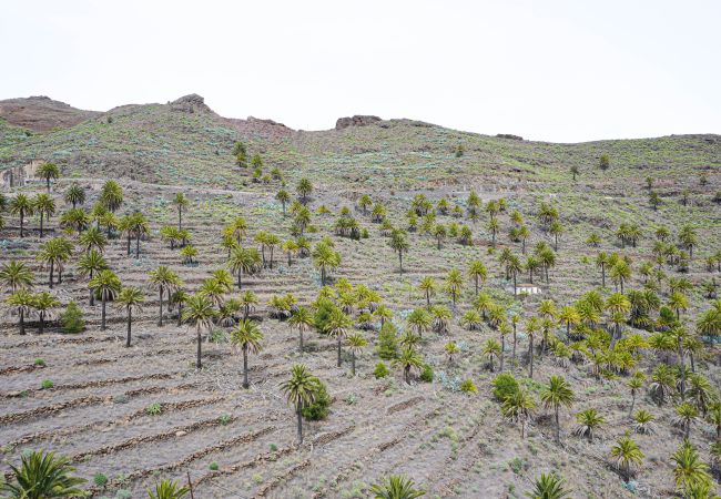 Apartment in Alajeró - Santiago Sun Beach Apartment in Alajeró - Santiago Sun Beach