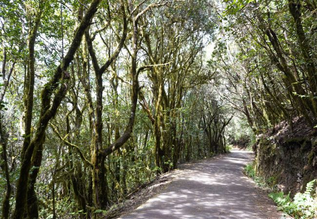 Apartment in Alajeró - Santiago Sun Beach Apartment in Alajeró - Santiago Sun Beach