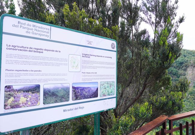 Apartment in Alajeró - Santiago Sun Beach Apartment in Alajeró - Santiago Sun Beach