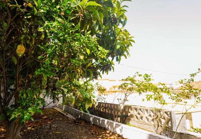 Terraced House in La Orotava - Casa Los Profesores Terraced House in La Orotava - Casa Los Profesores